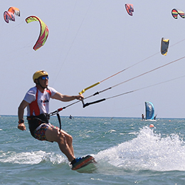 dr martin dehn kite 2019